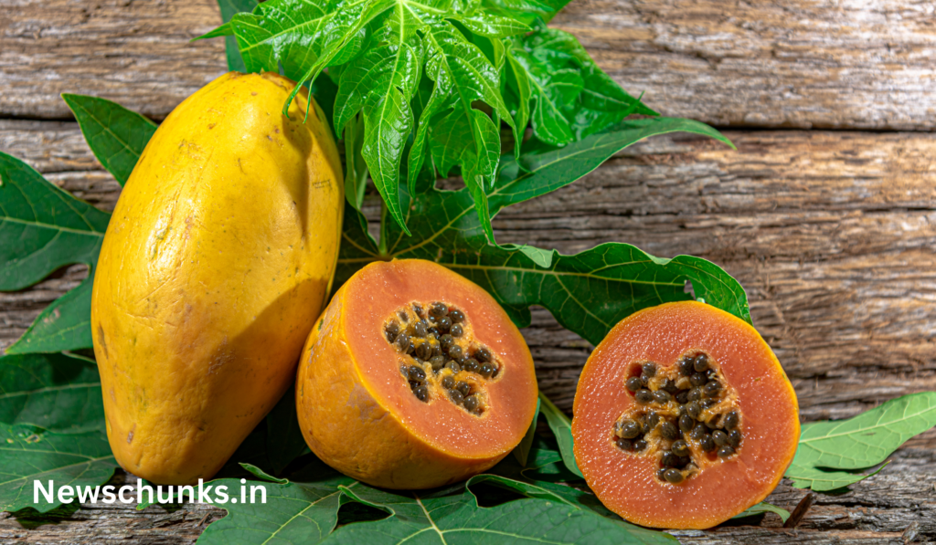 Papaya digestion tips: जानें पपीता खाने के बाद, क्या खाएं क्या नहीं, और क्यों?