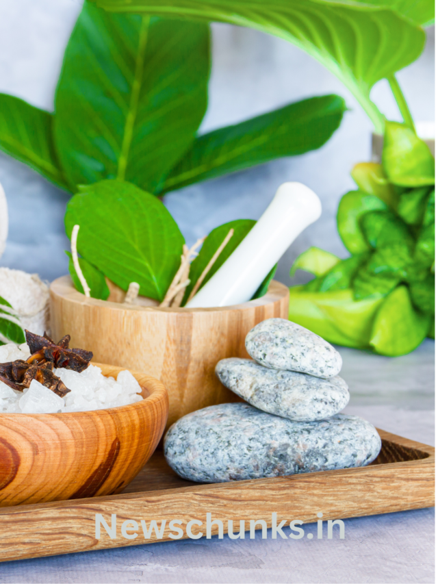 Ayurveda Plants For Winter Health Care: सर्दियों के दौरान घर पर उगाएं ये औषधीय पौधे, स्वास्थ्य संबंधी समस्याओं के लिए हैं फायदेमंद