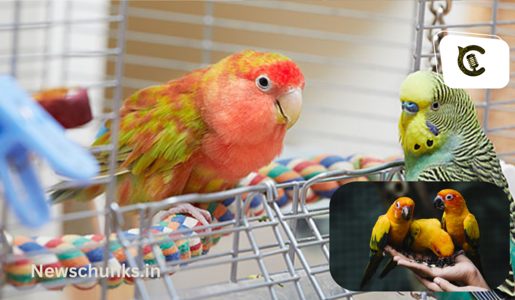 Kya Hai parrot fever?: क्या है पैरेट फीवर, दुनियाभर में फैली बीमारी, जानें लक्षण और बचाव