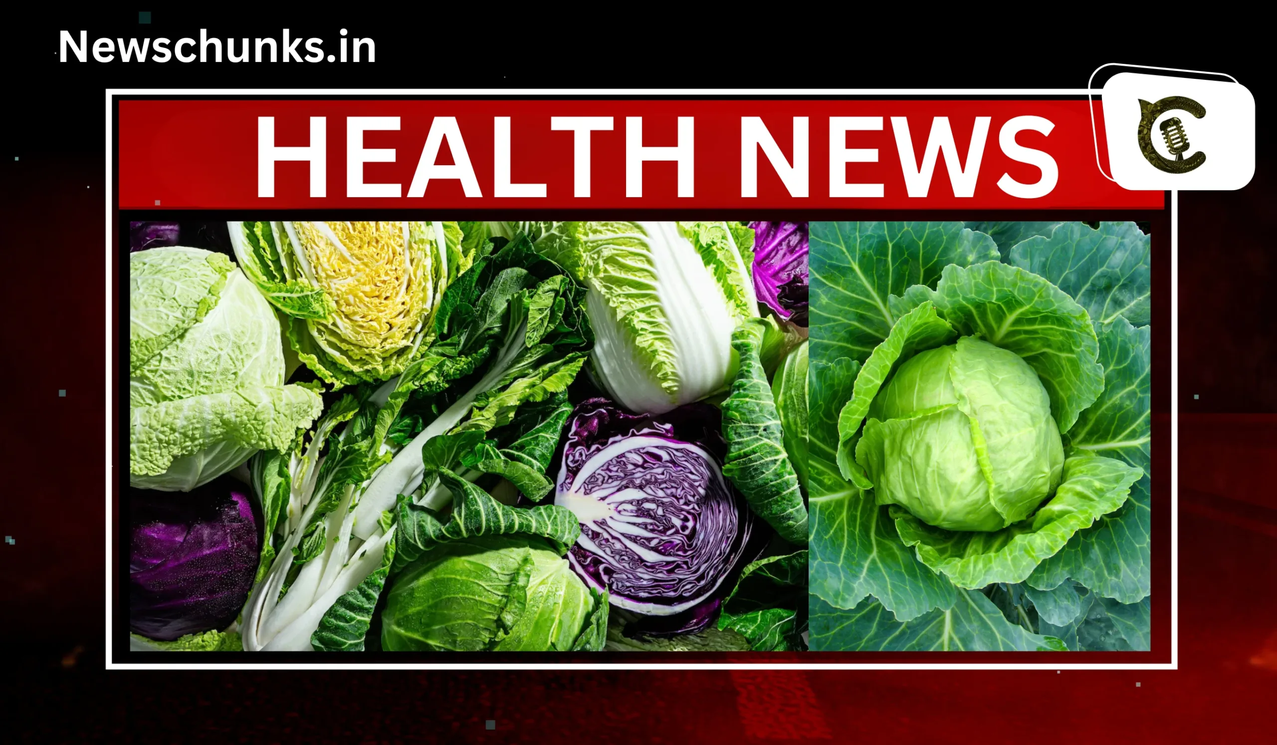 Benefits of cabbage in Hindi: पत्तागोभी के फायदे, डायबिटीज समेत कई बिमारियों के लिए वरदान है ये पत्तेदार सब्जी