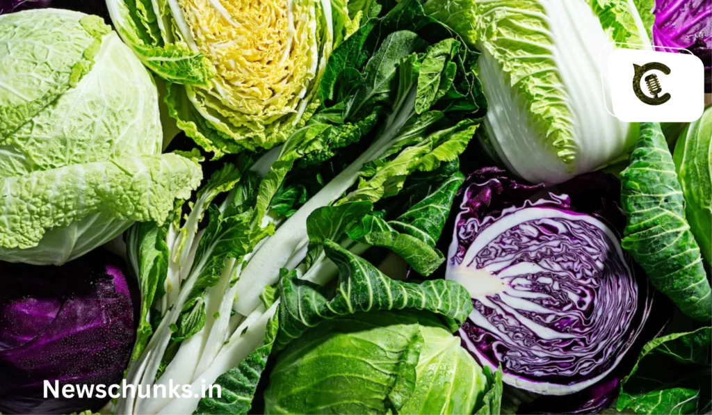 Benefits of cabbage in Hindi: पत्तागोभी के फायदे, डायबिटीज समेत कई बिमारियों के लिए वरदान है ये पत्तेदार सब्जी